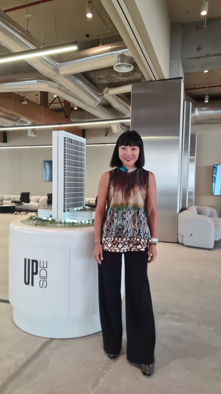 Ellen at a Dubai project presentation